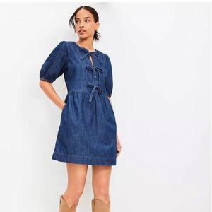 Women’s LOFT Denim Bow Dress